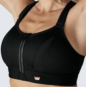 Shefit/High Impact Sports Bra